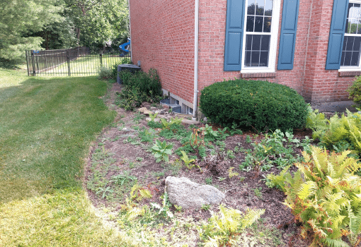 Garden Bed Cleanup (Before)