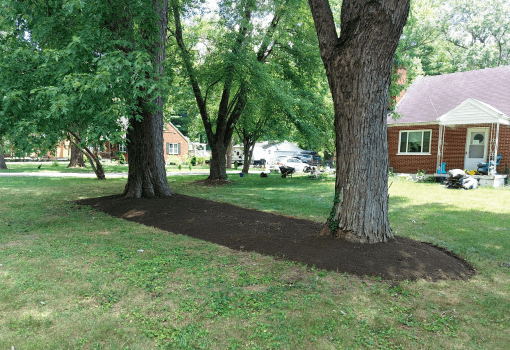 Garden Bed Creation - Complete